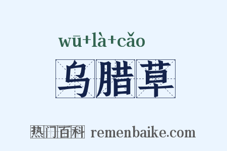 乌腊草是什么意思的图片